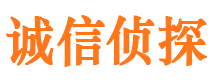 新泰寻人公司